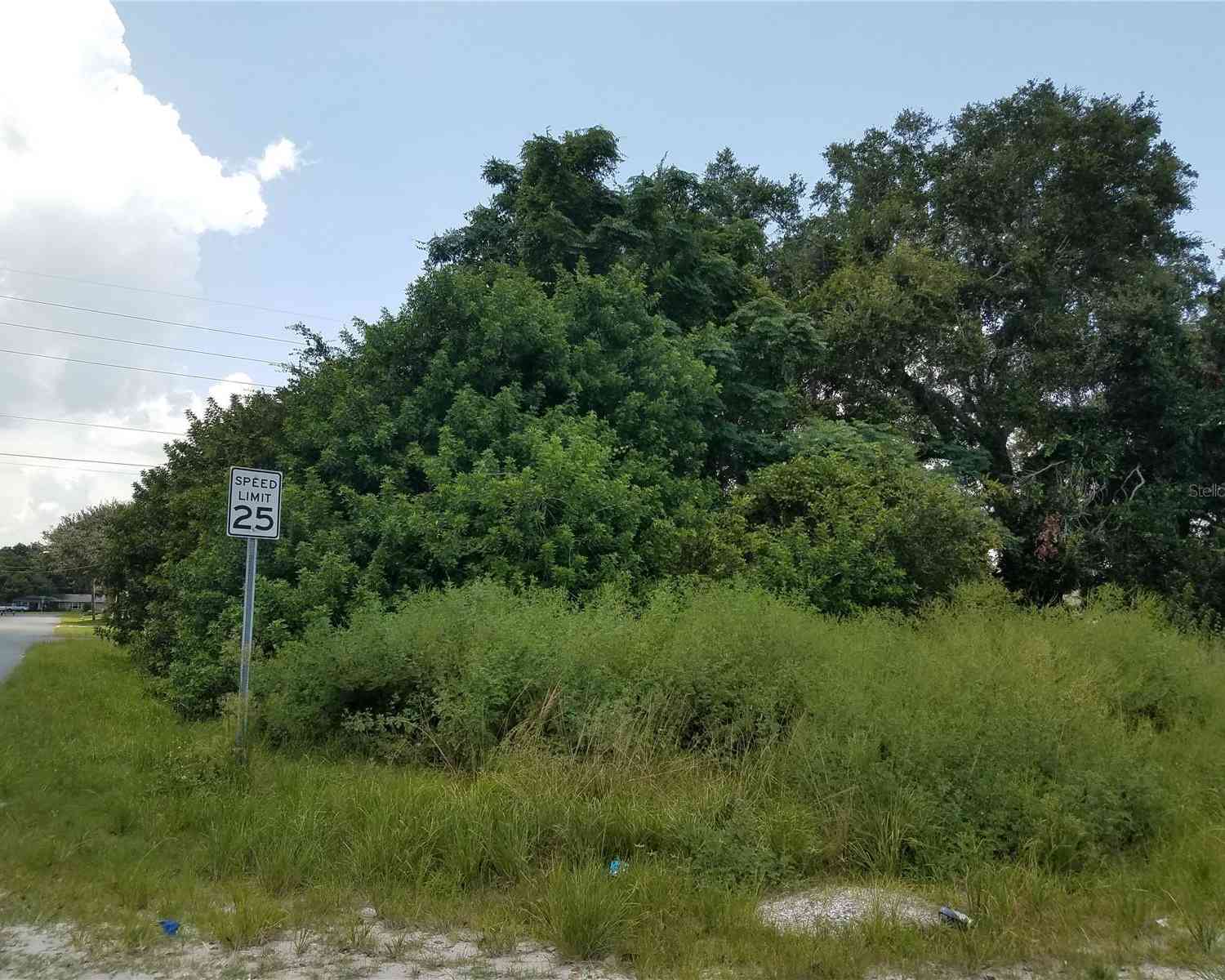 Vacant Land For Sale - Undisclosed Address<br/> Osceola County, KISSIMMEE, FL 34744