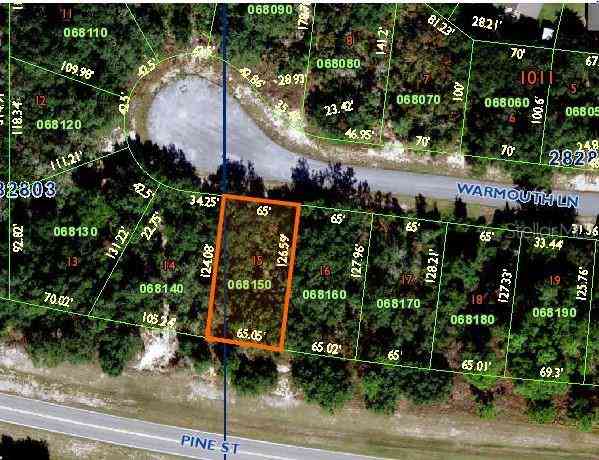 Vacant Land For Sale - 118 Warmouth Lane<br/> POINCIANA, FL 34759