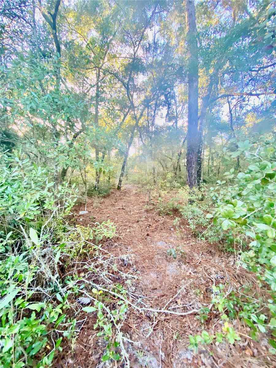 Vacant Land For Sale - 3986 S Pelican Avenue<br/> INVERNESS, FL 34450