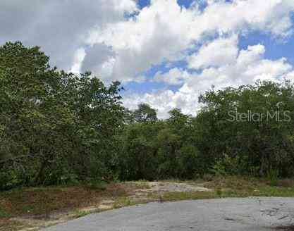 Vacant Land For Sale - 123 Warmouth Lane<br/> POINCIANA, FL 34759