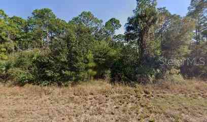 Vacant Land For Sale - 717 Brooklyn Loop<br/> LABELLE, FL 33935