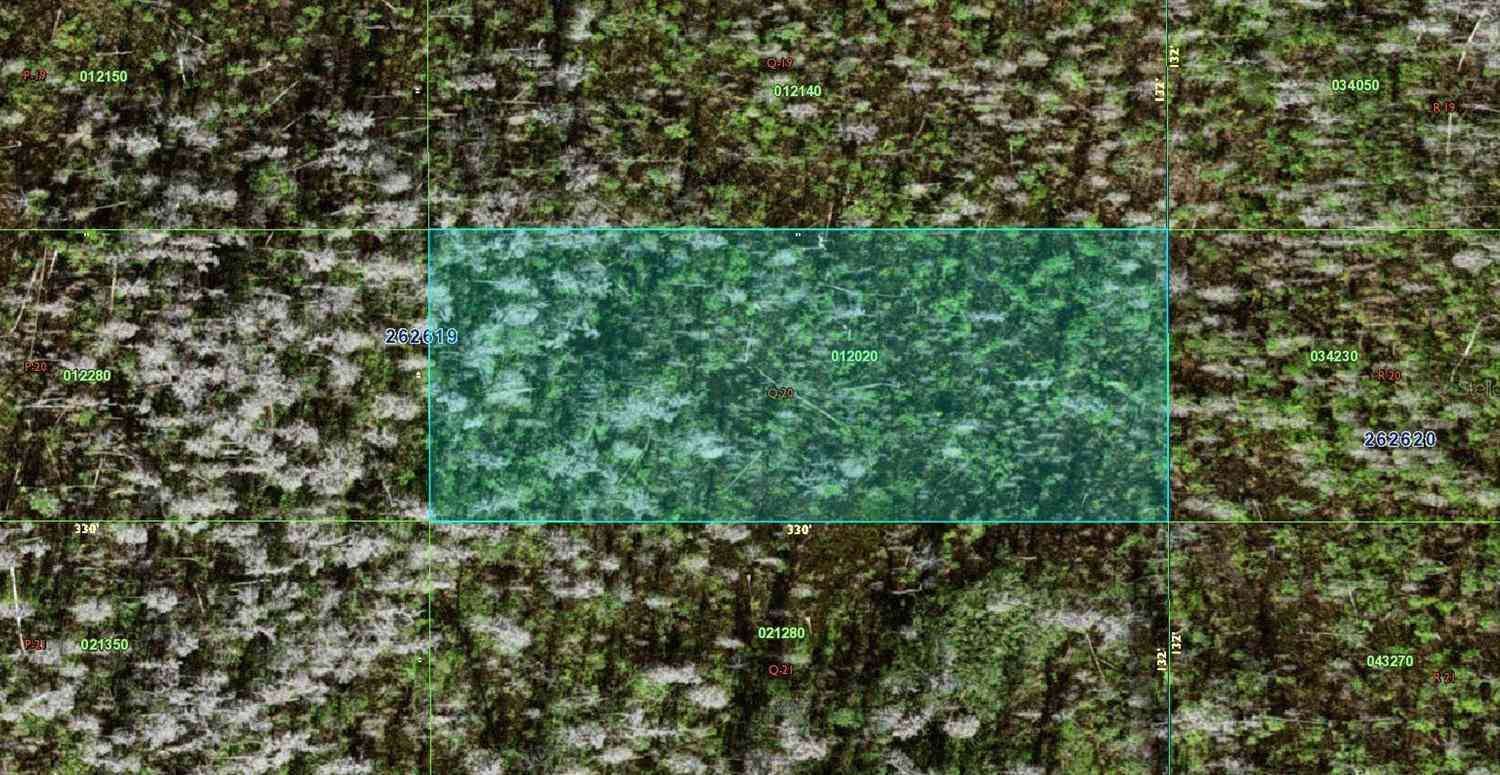 Vacant Land For Sale - Old Grade Road<br/> POLK CITY, FL 33868