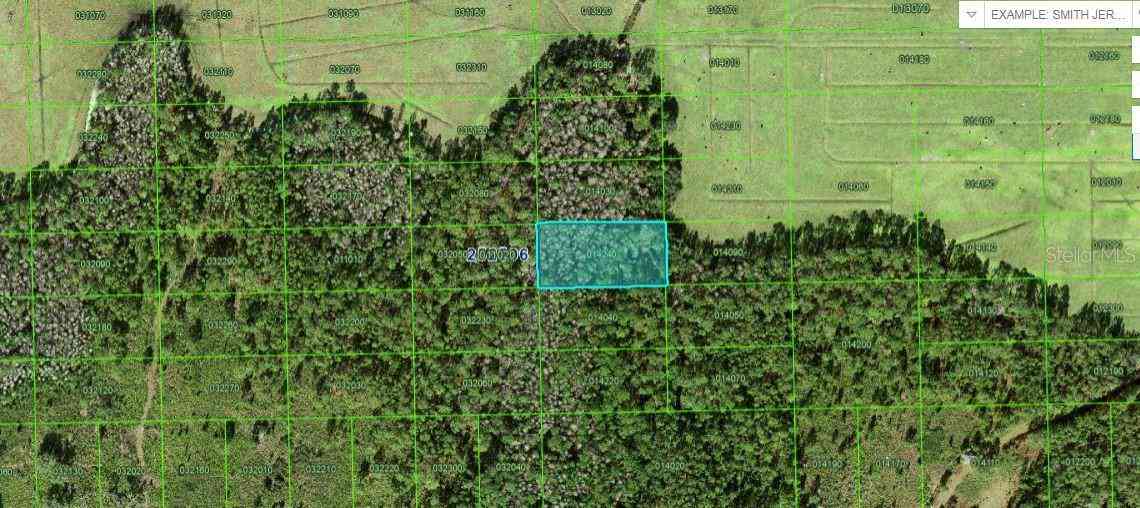 Vacant Land For Sale - Commonwealth Avenue<br/> POLK CITY, FL 33868