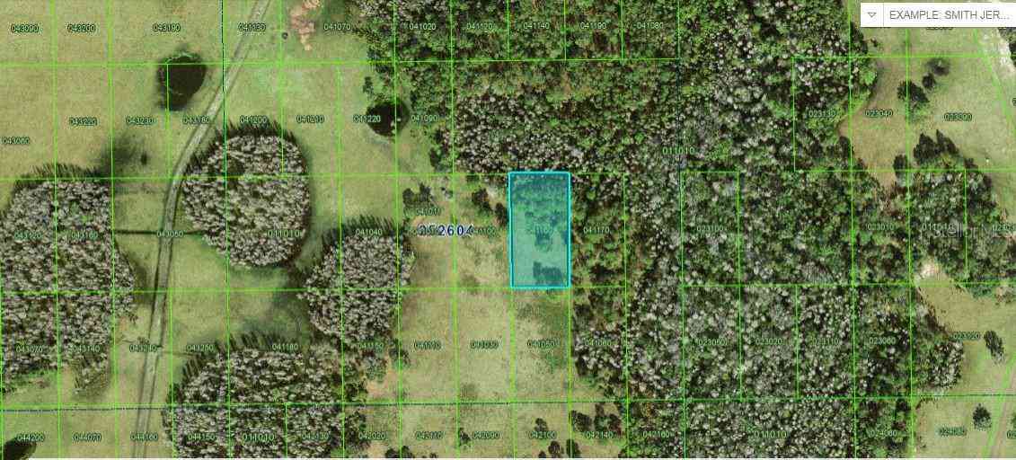 Vacant Land For Sale - Commonwealth Avenue<br/> POLK CITY, FL 33868