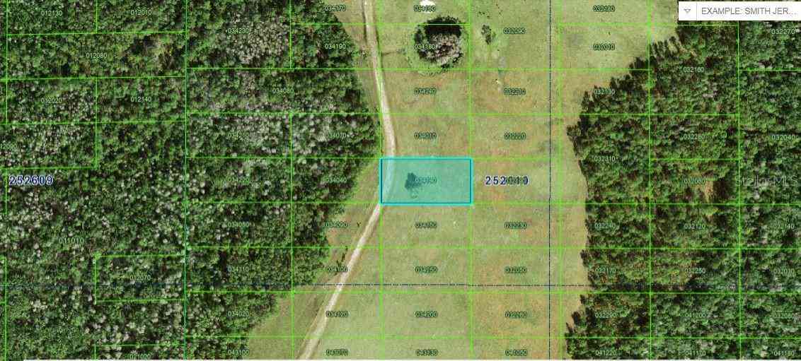 Vacant Land For Sale - Commonwealth Avenue<br/> POLK CITY, FL 33868