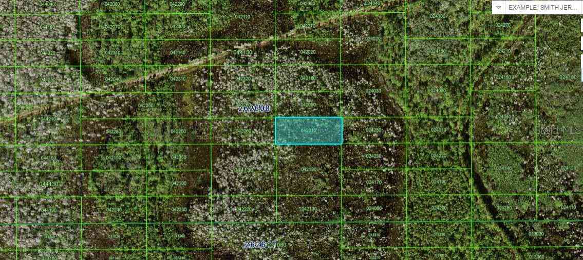Vacant Land For Sale - N/a<br/> POLK CITY, FL 33868