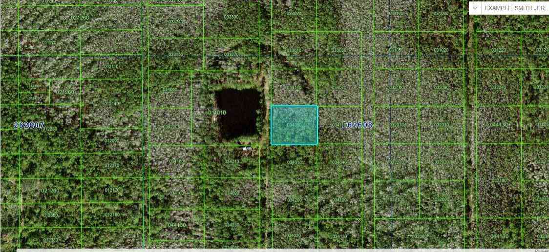 Vacant Land For Sale - N/a<br/> POLK CITY, FL 33868