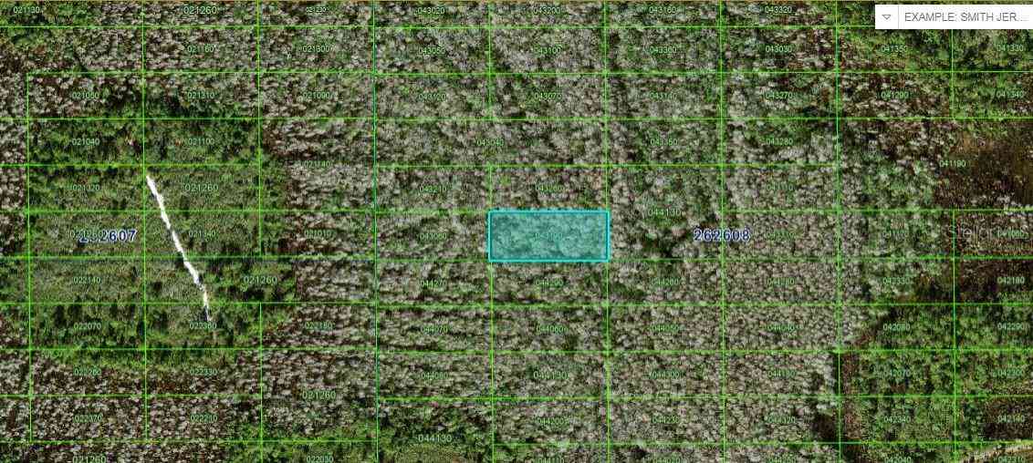 Vacant Land For Sale - N/a<br/> POLK CITY, FL 33868