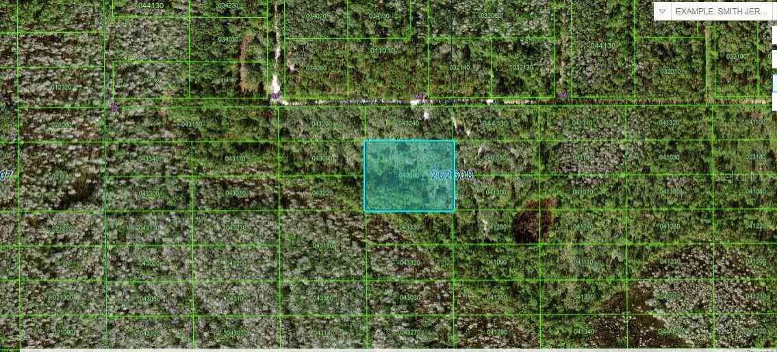 Vacant Land For Sale - N/a<br/> POLK CITY, FL 33868