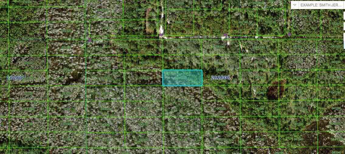 Vacant Land For Sale - N/a<br/> POLK CITY, FL 33868