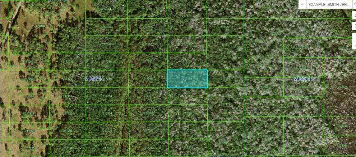 Vacant Land For Sale - N/a<br/> POLK CITY, FL 33868