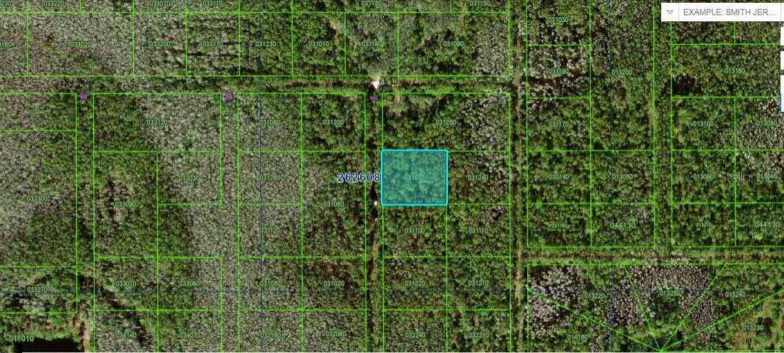 Vacant Land For Sale - N/a<br/> POLK CITY, FL 33868