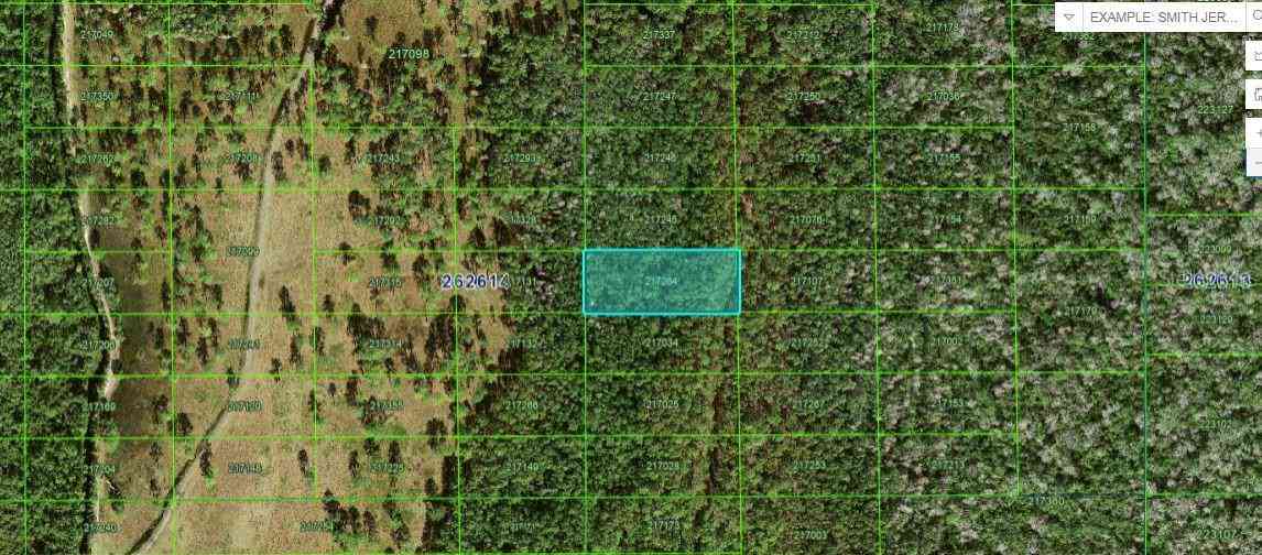 Vacant Land For Sale - N/a<br/> POLK CITY, FL 33868