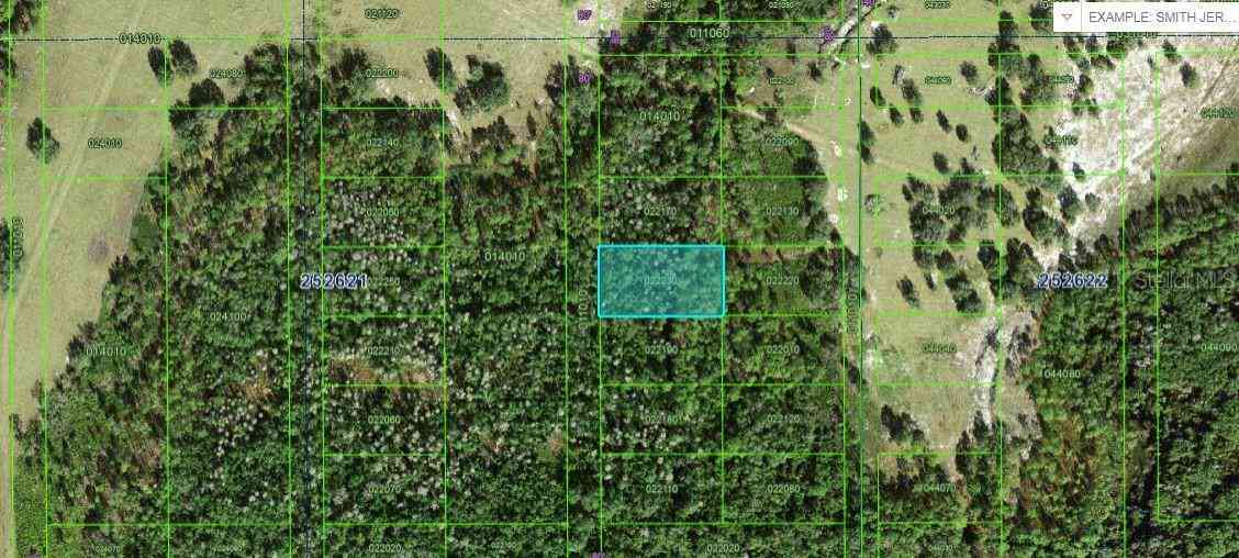 Vacant Land For Sale - Commonwealth Ave N Avenue<br/> POLK CITY, FL 33868