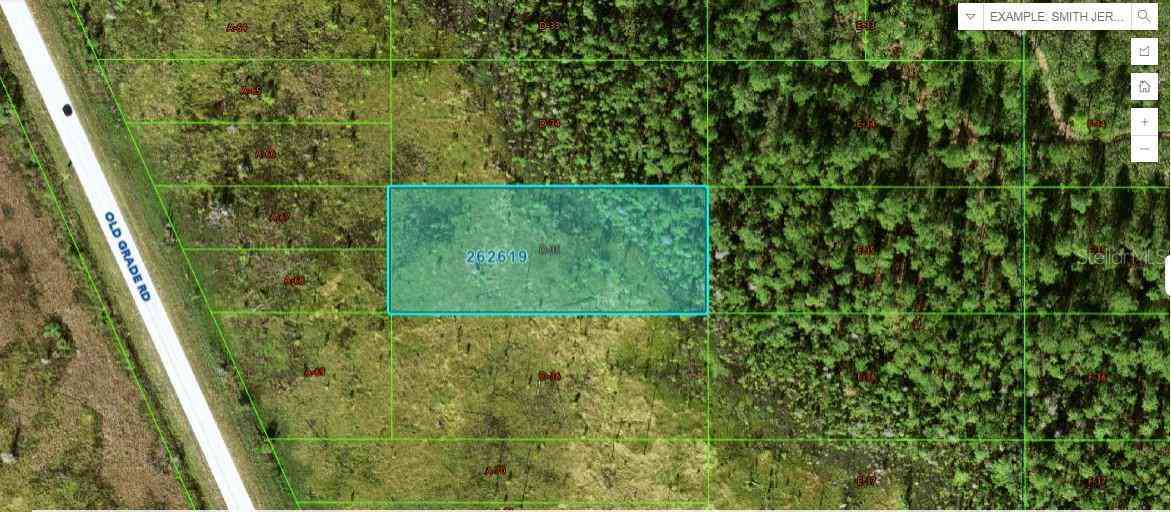 Vacant Land For Sale - Old Grade Road<br/> POLK CITY, FL 33868