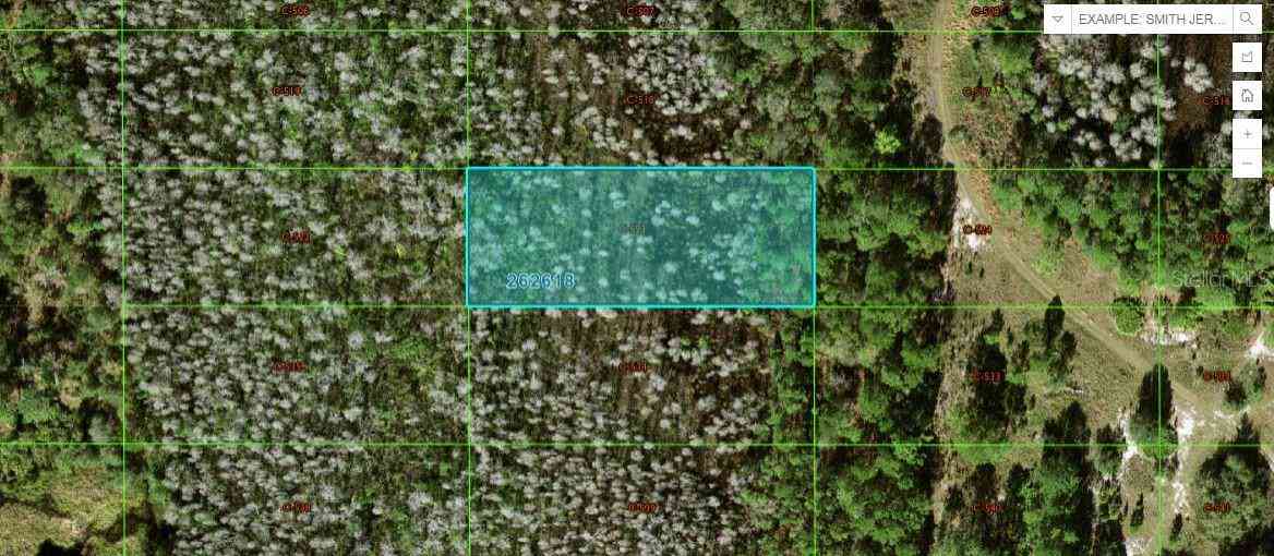 Vacant Land For Sale - Old Grade Rd<br/> POLK CITY, FL 33868