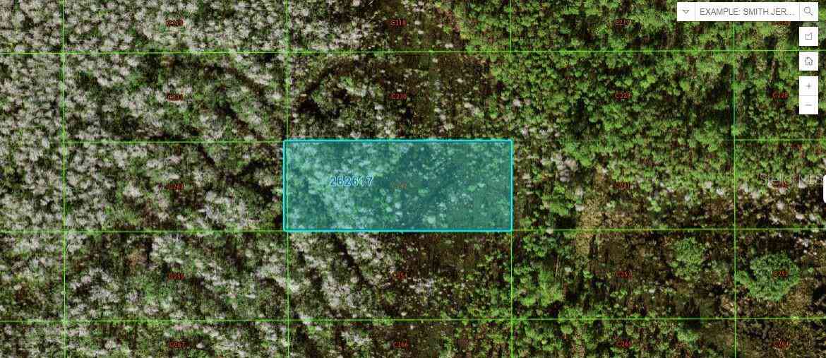 Vacant Land For Sale - Old Grade Rd<br/> POLK CITY, FL 33868