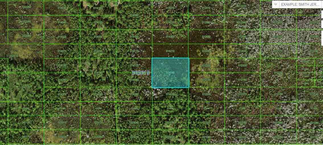 Vacant Land For Sale - Old Grade Road<br/> POLK CITY, FL 33868