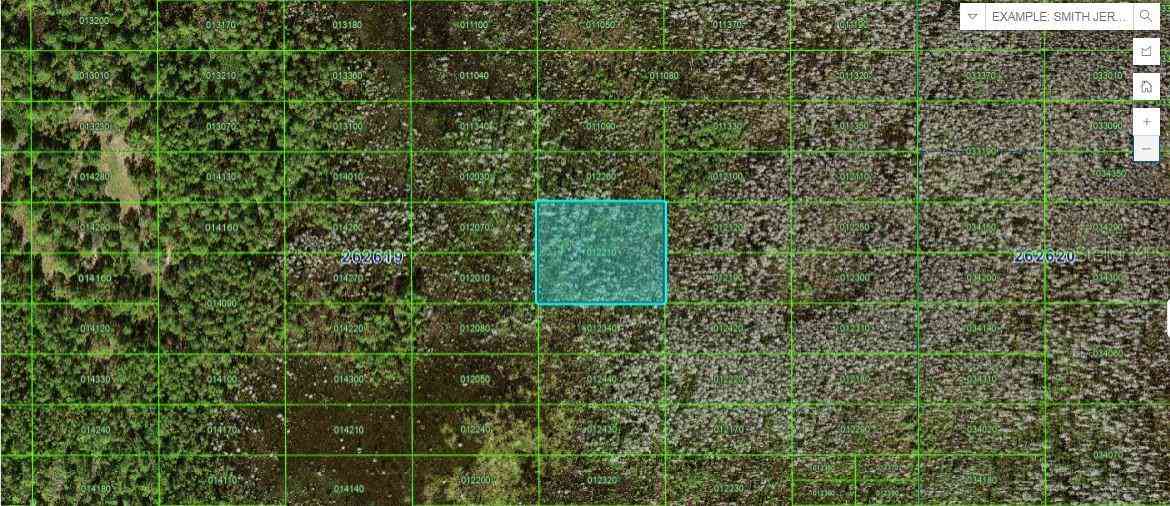 Vacant Land For Sale - Old Grade Rd<br/> POLK CITY, FL 33868