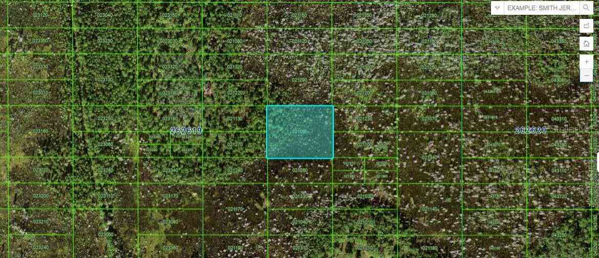 Vacant Land For Sale - Old Grade Rd<br/> POLK CITY, FL 33868