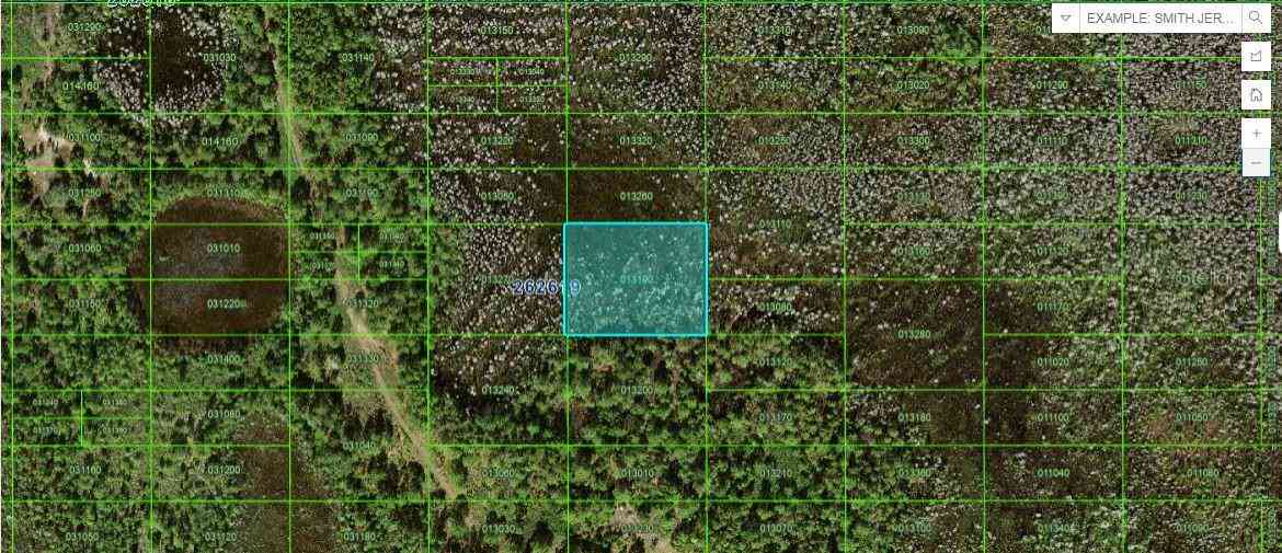 Vacant Land For Sale - Old Grade Rd<br/> POLK CITY, FL 33868