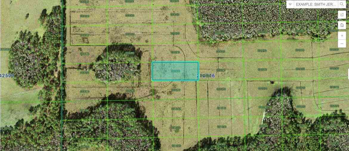 Vacant Land For Sale - Green Pond Rd<br/> POLK CITY, FL 33868
