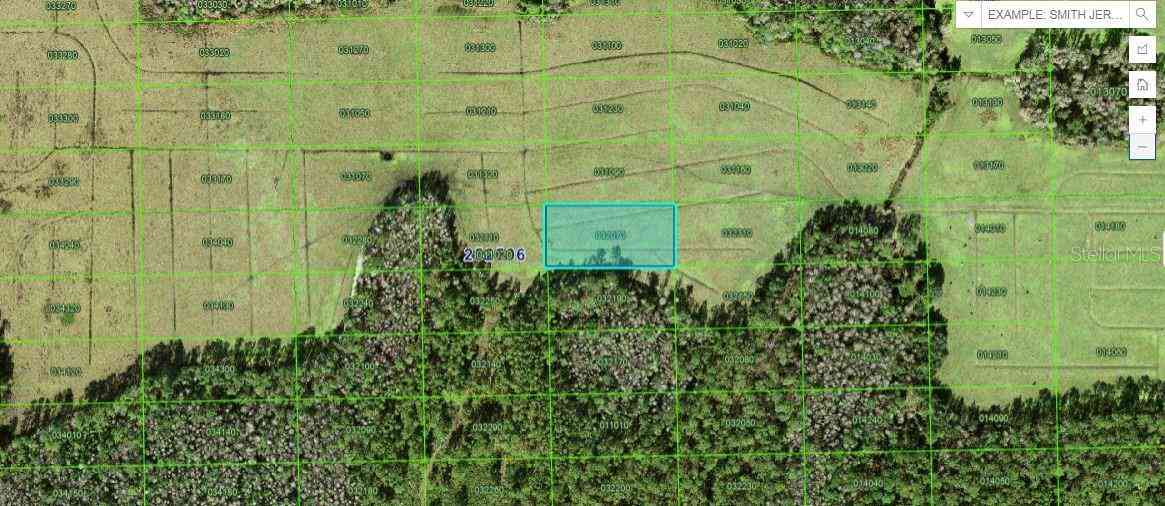 Vacant Land For Sale - Green Pond Rd<br/> POLK CITY, FL 33868