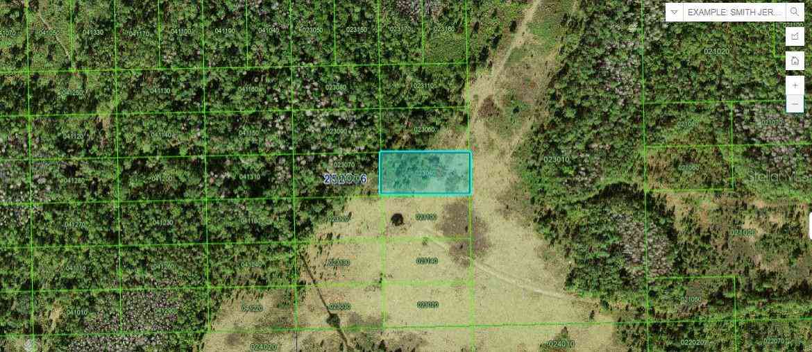 Vacant Land For Sale - Green Pond Rd<br/> POLK CITY, FL 33868