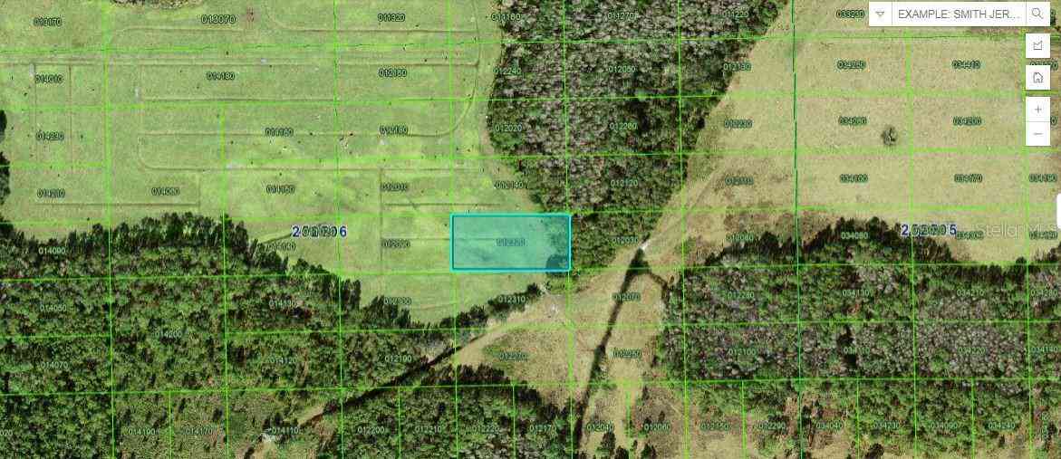 Vacant Land For Sale - Green Pond Rd<br/> POLK CITY, FL 33868