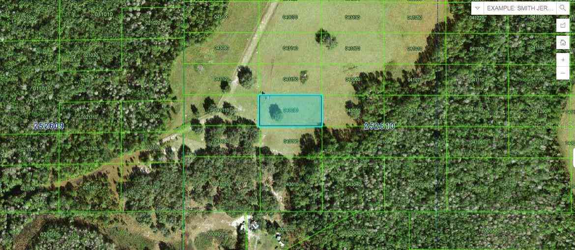 Vacant Land For Sale - Backland Path Road<br/> POLK CITY, FL 33868