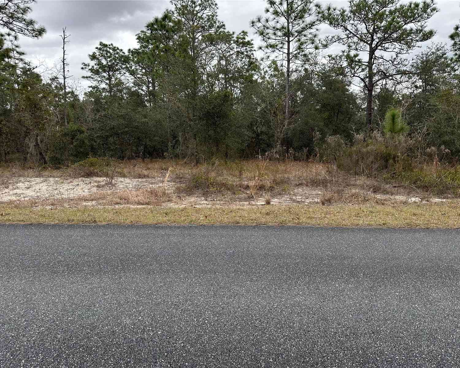Vacant Land For Sale - Sw Obee Ridge Rd<br/> DUNNELLON, FL 34431