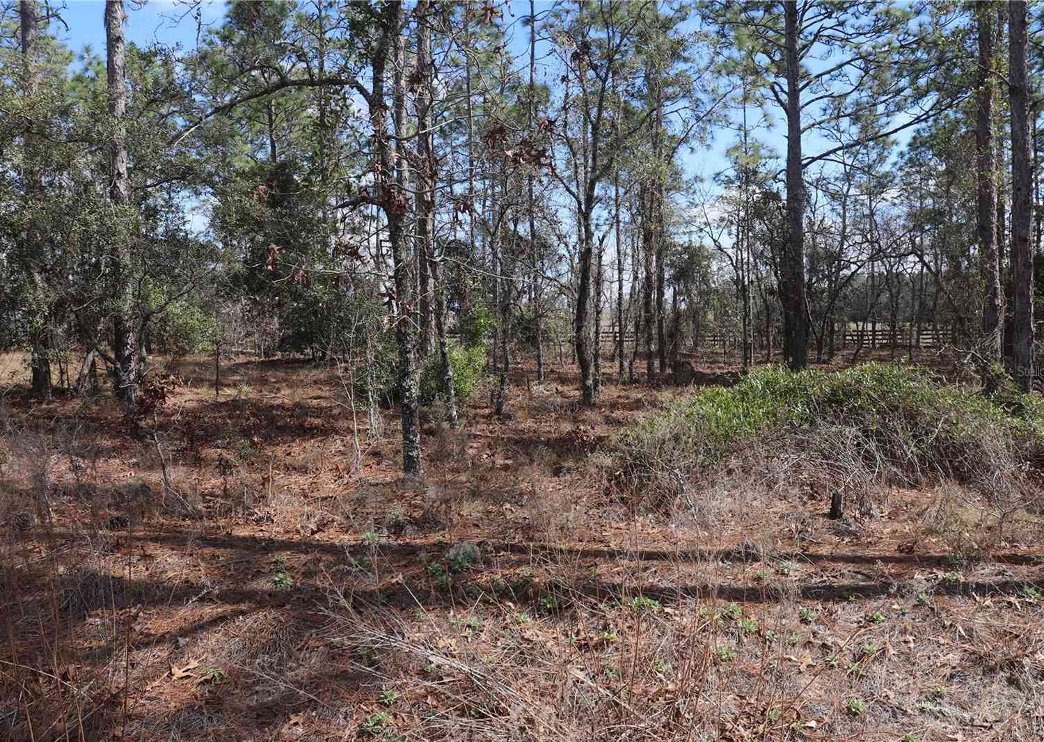 Vacant Land For Sale - 2251 NW Buena Vista Road<br/> DUNNELLON, FL 34431