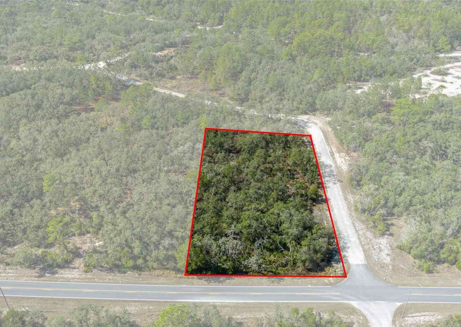 Vacant Land For Sale - 00 Shortstone Drive<br/> WEBSTER, FL 33597