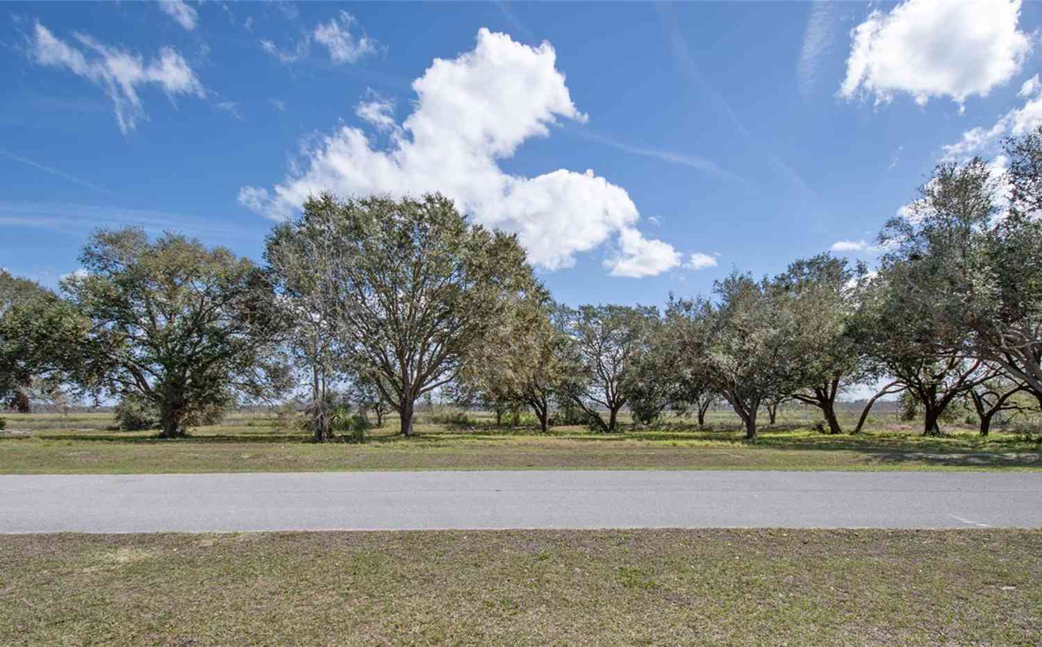 Vacant Land For Sale - Royal Palm Dr<br/> GROVELAND, FL 34736
