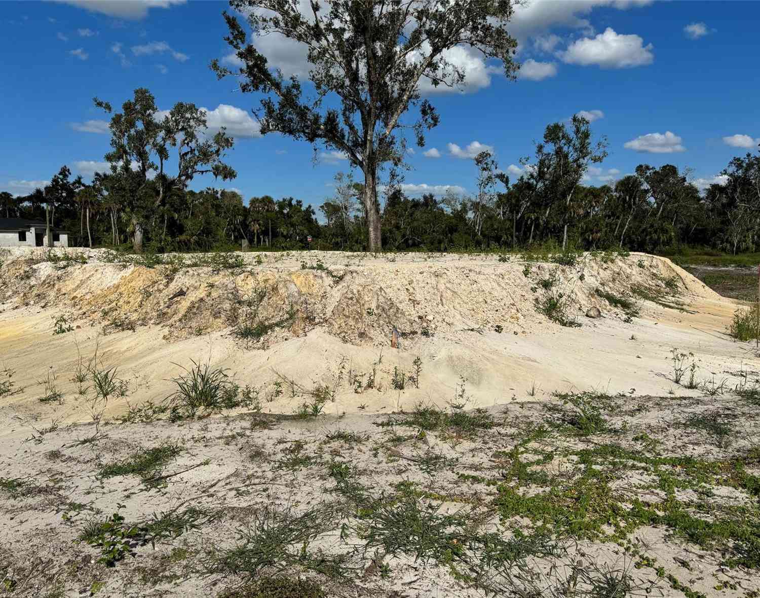 Slider Thumb