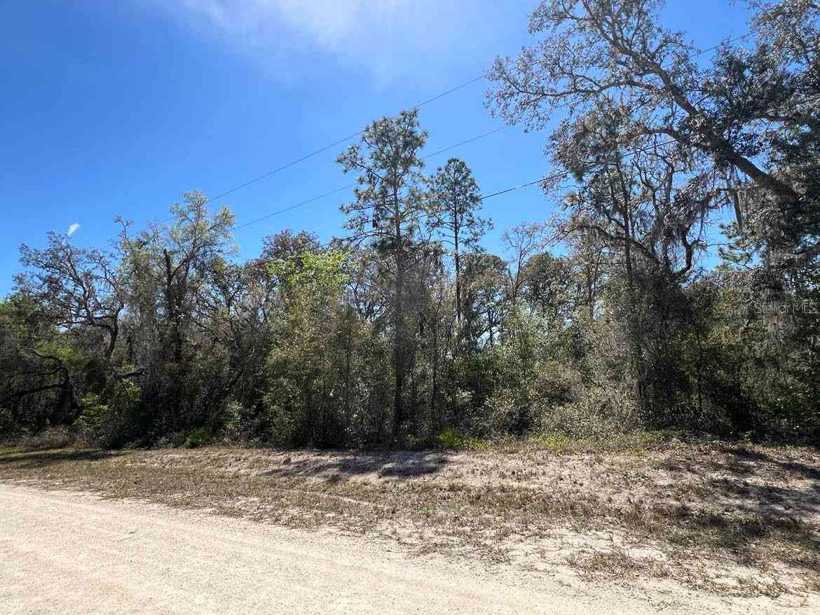 Vacant Land For Sale - Northwest Avenue #LOT 32<br/> WEBSTER, FL 33597