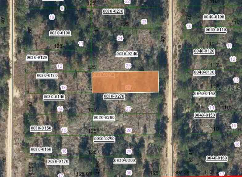 Vacant Land For Sale - 00 Sw 57th Avenue<br/> INTERLACHEN, FL 32148
