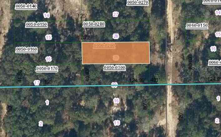 Vacant Land For Sale - 00 Sw 55th Avenue<br/> INTERLACHEN, FL 32148