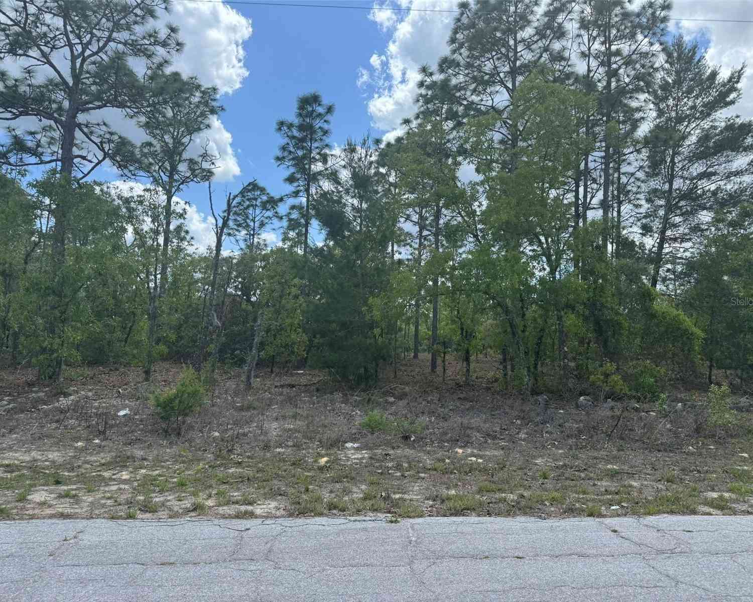 Vacant Land For Sale - 2984 W Liza Place<br/> DUNNELLON, FL 34433
