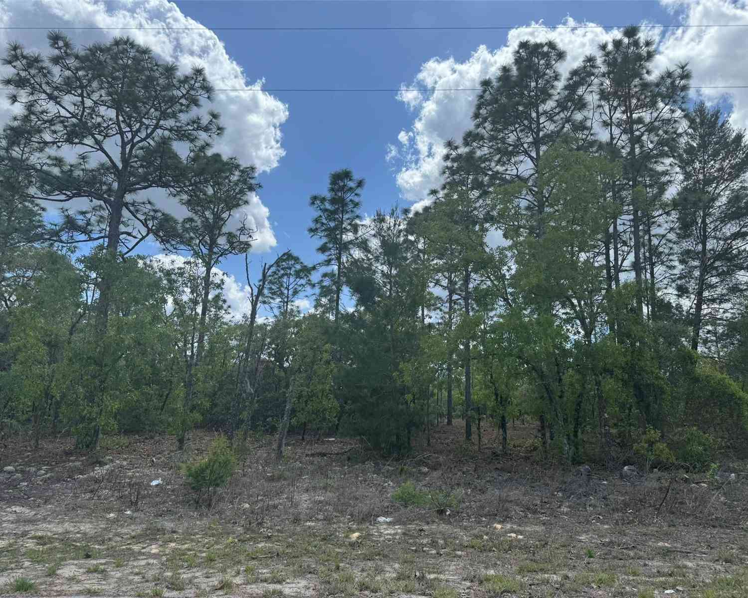 Vacant Land For Sale - 3000 W Liza Place<br/> DUNNELLON, FL 34433