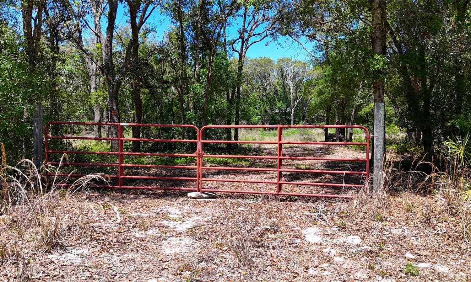 Vacant Land For Sale - 34281 Umbrella Rock Drive<br/> WEBSTER, FL 33597