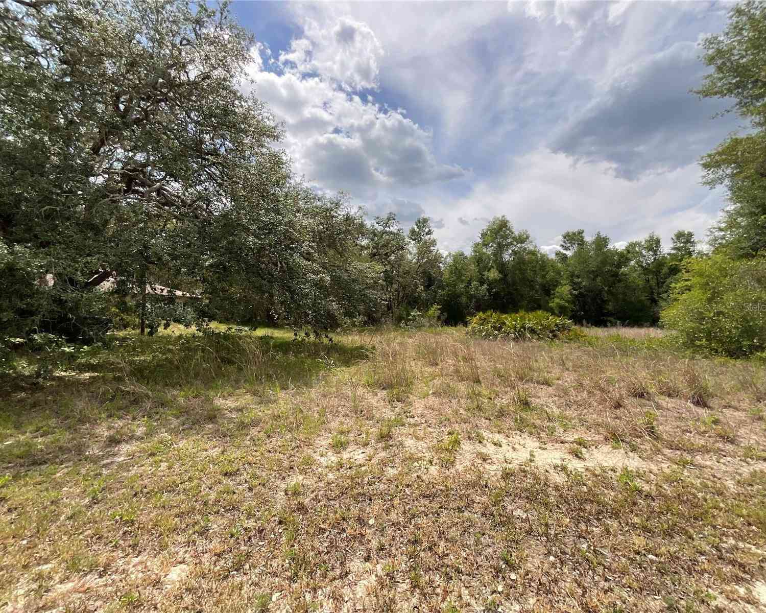 Vacant Land For Sale - 34331 Rim Rock Street<br/> WEBSTER, FL 33597