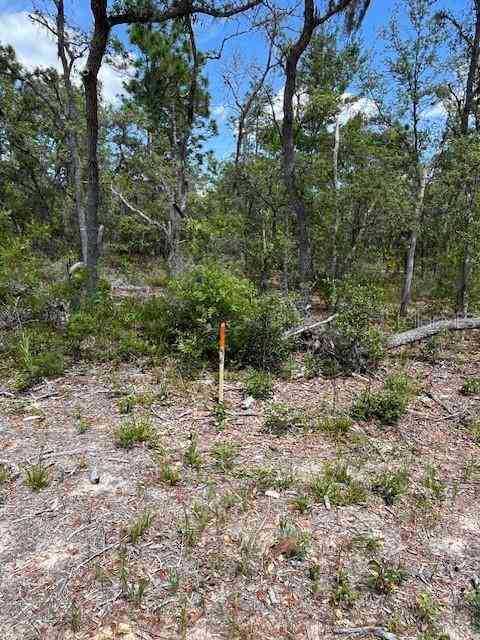 Vacant Land For Sale - TBD SW 57th Avenue #46  47<br/> INTERLACHEN, FL 32148