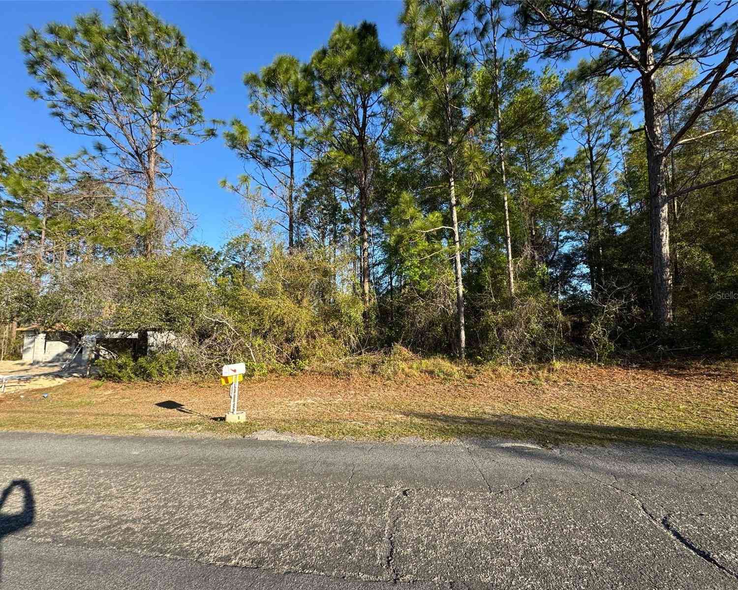 Slider Thumb