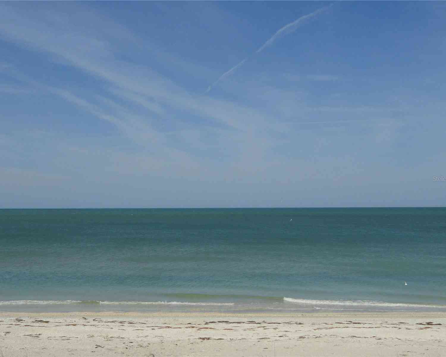 Homes For Rent - 3100 Gulf Boulevard #221<br/> BELLEAIR BEACH, FL 33786