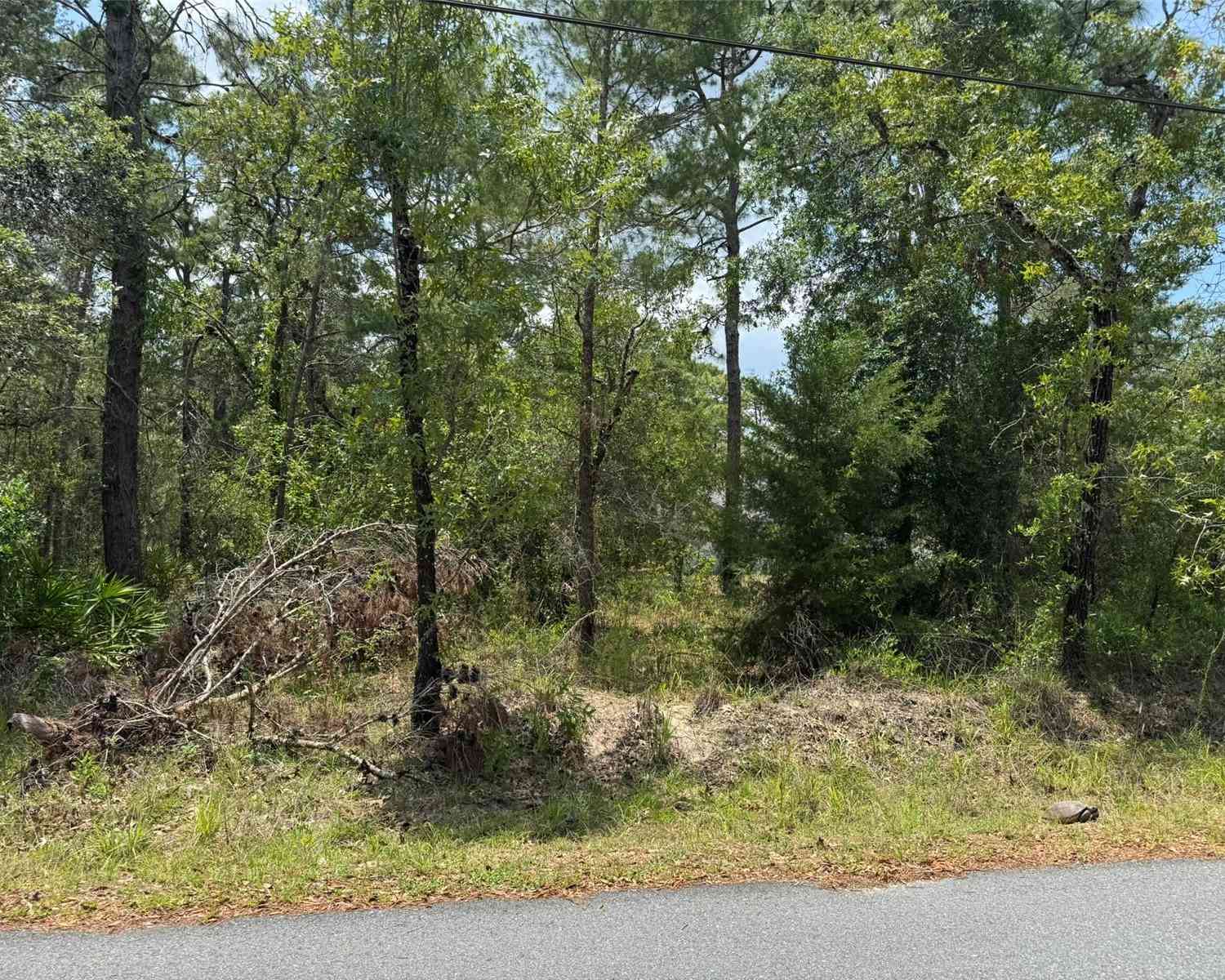Vacant Land For Sale - LOT 62 Michigan Avenue<br/> WEEKI WACHEE, FL 34613