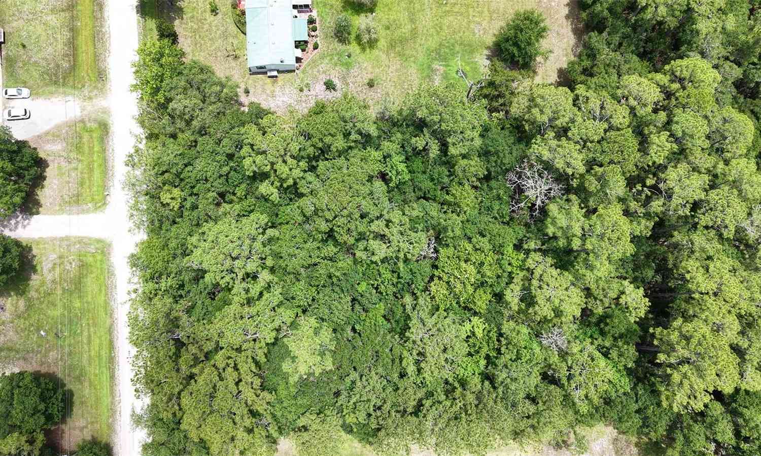 Vacant Land For Sale - 1230 Honeytree Street<br/> Flagler County County, BUNNELL, FL 32110