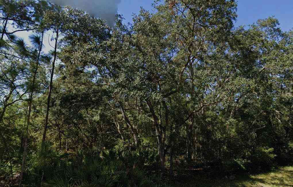 Vacant Land For Sale - Theresa Avenue<br/> INTERLACHEN, FL 32148