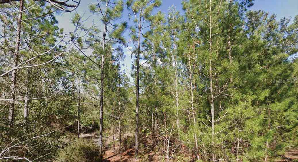 Vacant Land For Sale - Orchid Drive<br/> INTERLACHEN, FL 32148