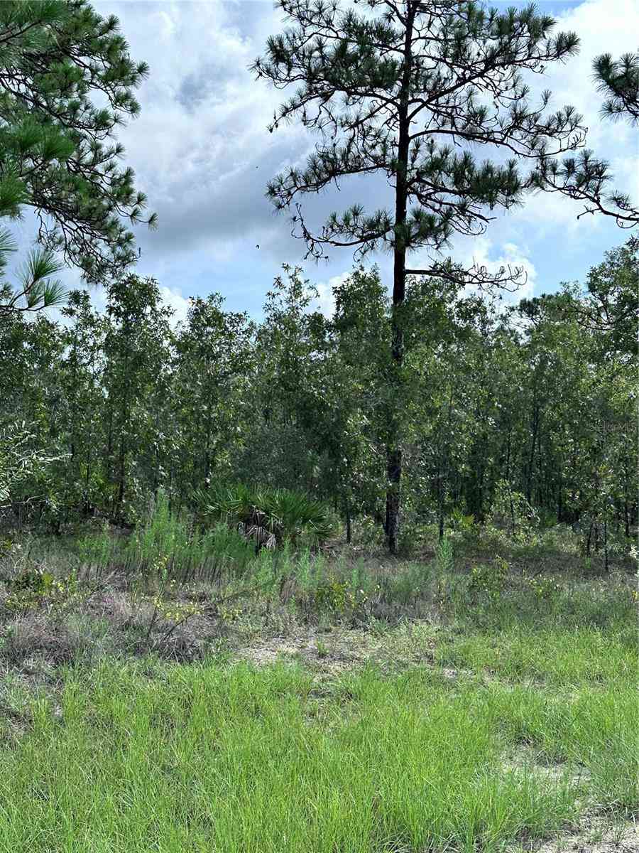 Vacant Land For Sale - Scaup Duck Avenue<br/> WEEKI WACHEE, FL 34614